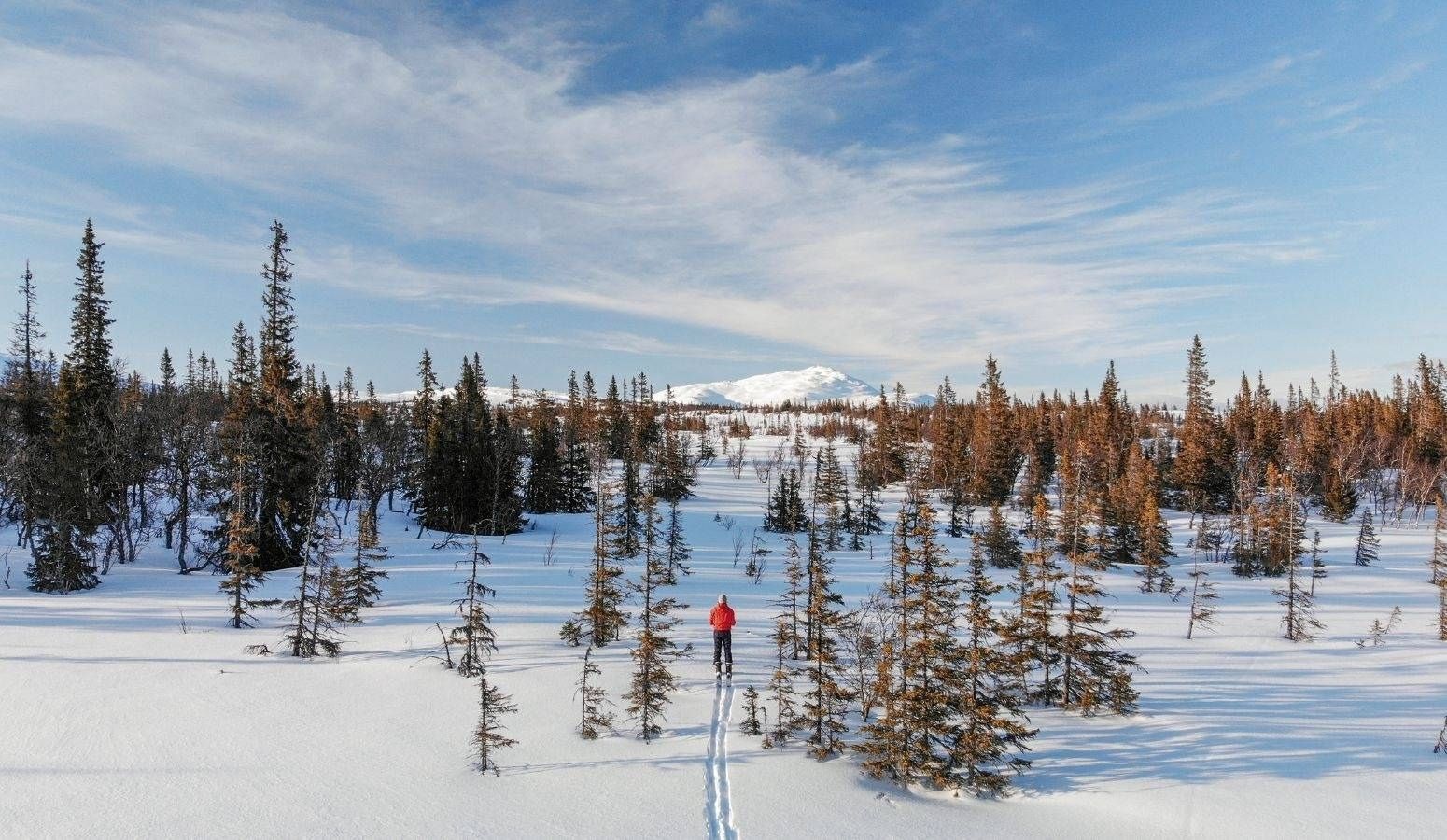 semana santa Paisaje nevado de Salla, en Laponia Finlandesa